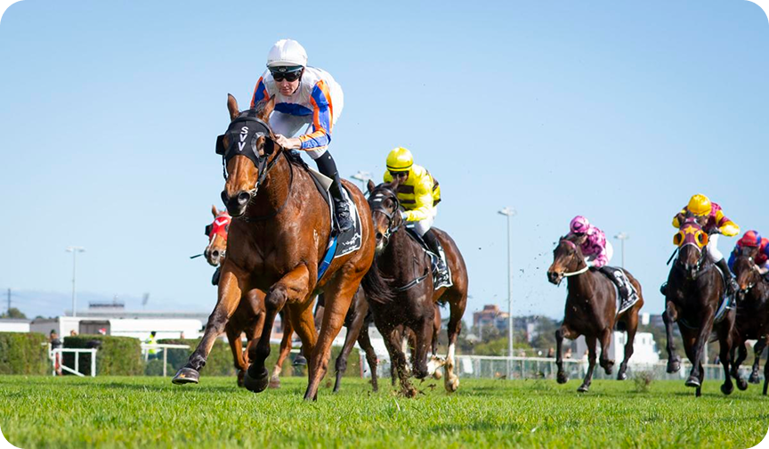 Horse racing photo 21